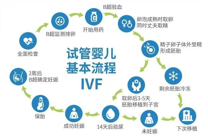 試管嬰兒的全部流程 試管嬰兒的全部流程