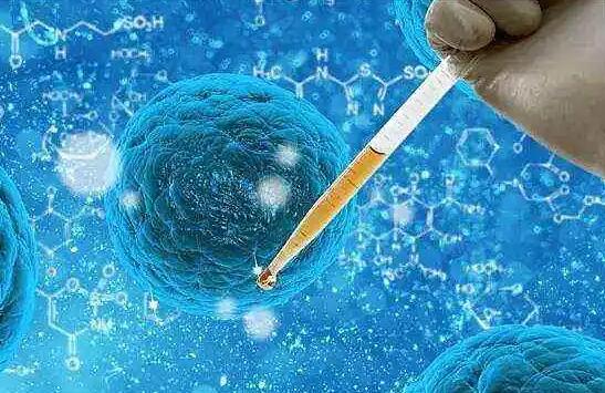 鄭州試管嬰兒手術多少錢?鄭州試管嬰兒費用具體都有什么? 鄭州試管嬰兒手術多少錢?鄭州試管嬰兒費用具體都有什么?