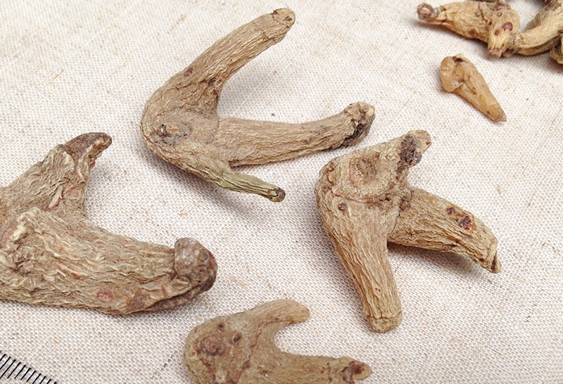 白術(shù)-白及 白術(shù)-白及