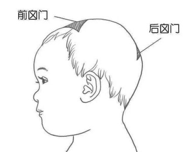 囟門發(fā)育不良的表現(xiàn)