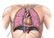 氣管閉合性損傷